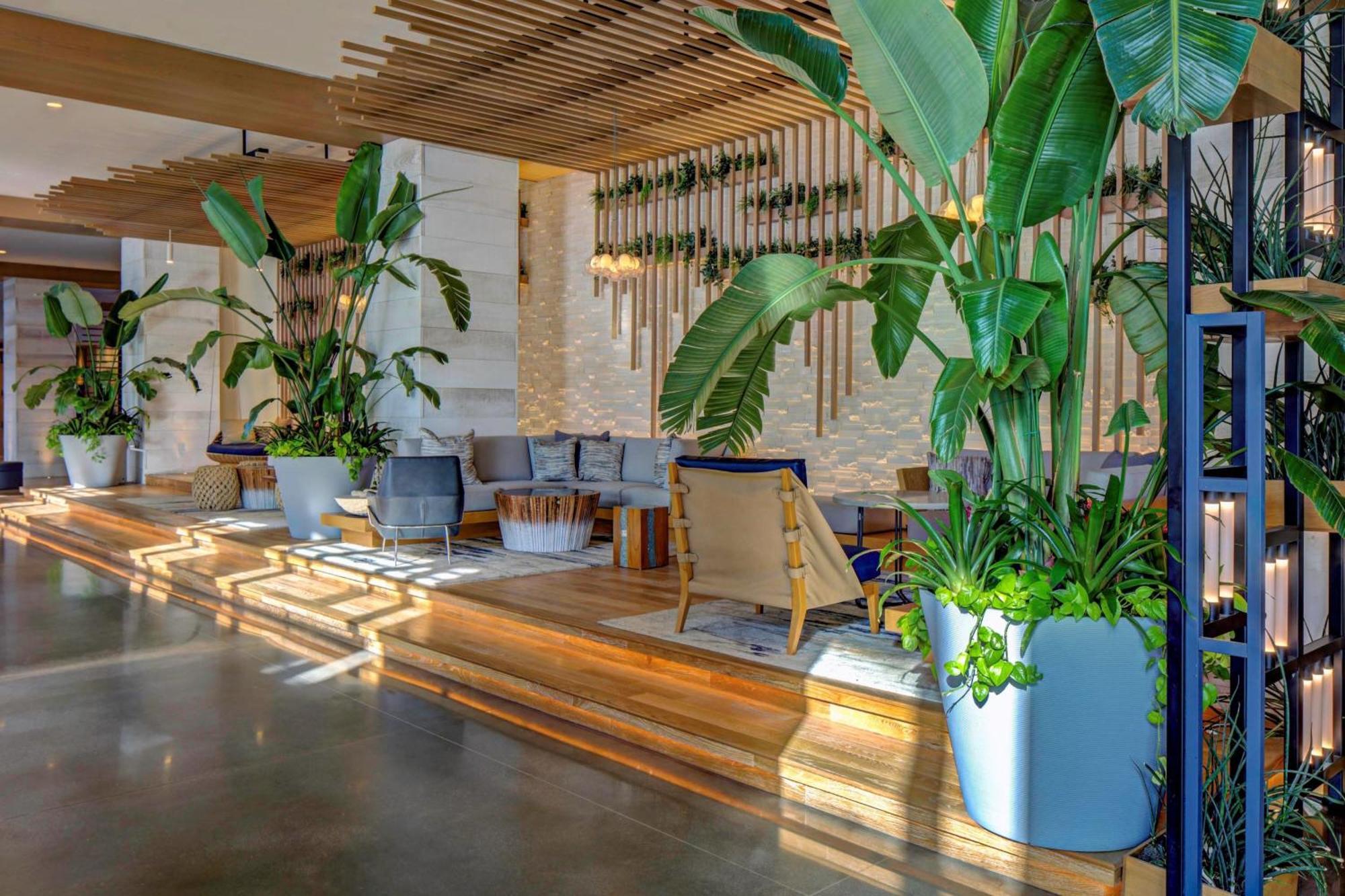 Marriott Virginia Beach Oceanfront Resort Ngoại thất bức ảnh